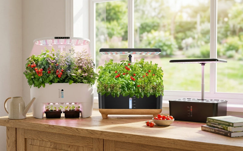 Hydroponic Systems