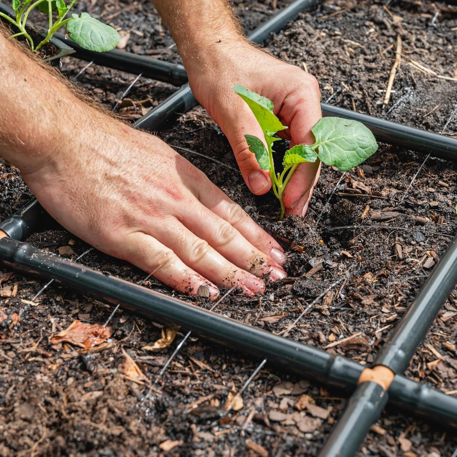 Garden Grid 2X6 | Garden Watering System for Raised Beds | Pre-Assembled | 1-Min Setup Garden Irrigation Kit; Full-Coverage, No Dry Spots; Usa-Made; Lasts Years Longer than Drip Irrigation, 22.5X66"