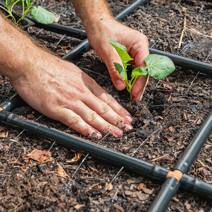 Garden Grid 2X6 | Garden Watering System for Raised Beds | Pre-Assembled | 1-Min Setup Garden Irrigation Kit; Full-Coverage, No Dry Spots; Usa-Made; Lasts Years Longer than Drip Irrigation, 22.5X66"